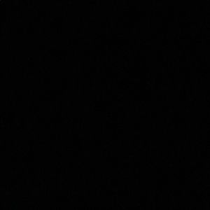 Meet your Posher, Gisela